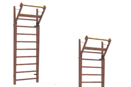 Gym Ladder NOHRD WallBar 10 Oak Vintage